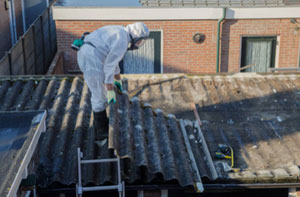 Asbestos Removal Companies Alton (01420)