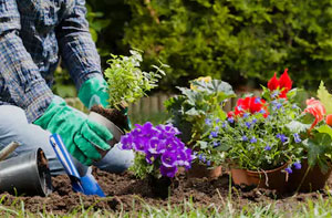 Gardening Services Shipley West Yorkshire (BD17)