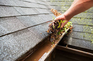 Gutter Cleaning Service Whitley Bay