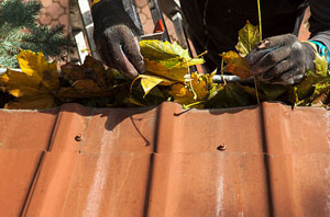 Gutter Cleaning Crewe Cheshire