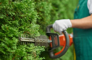 Hedge Trimming Caerphilly