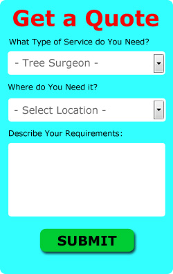 Hamilton Tree Surgeon Quotes (ML3)