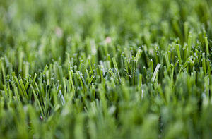 Artificial Grass Installer Near Me Ipswich