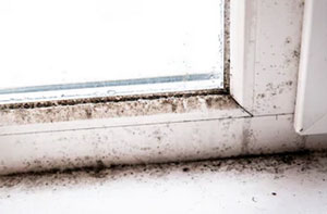 Condensation Control UK