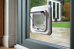 Fitting Cat Flaps in Glass Doors in Greater London