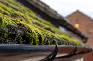 Roof Moss Removal Gainsborough UK (01427)